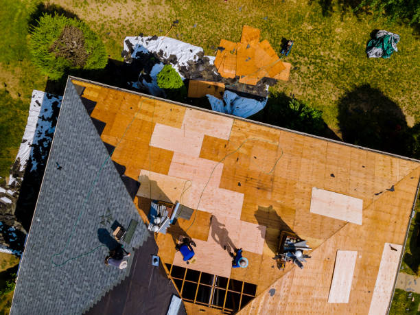 Best Gutter Installation and Roofing  in Salem, IL