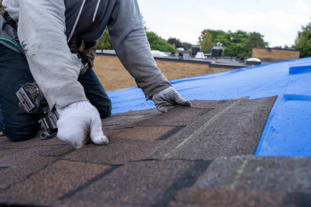 Best Roof Leak Repair  in Salem, IL