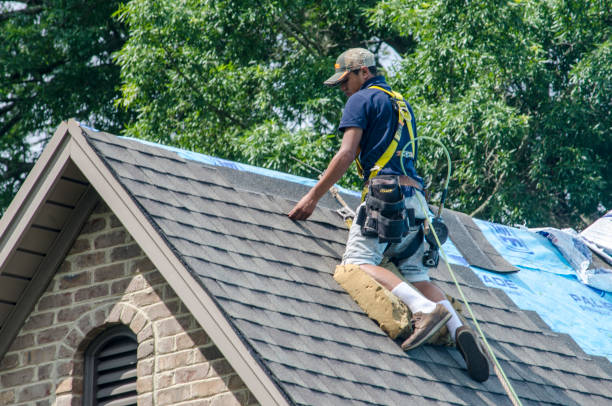 Roof Gutter Cleaning in Salem, IL